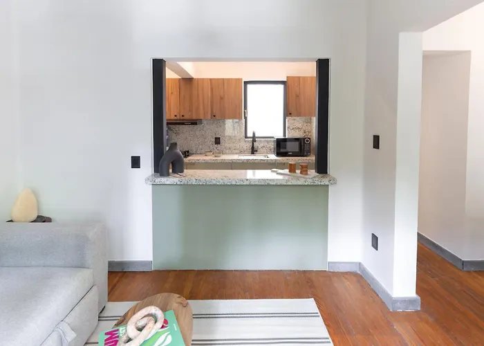 Baranda Ocho Apartment Mexico City