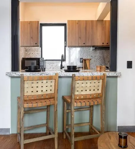 Baranda Ocho Apartment Mexico City